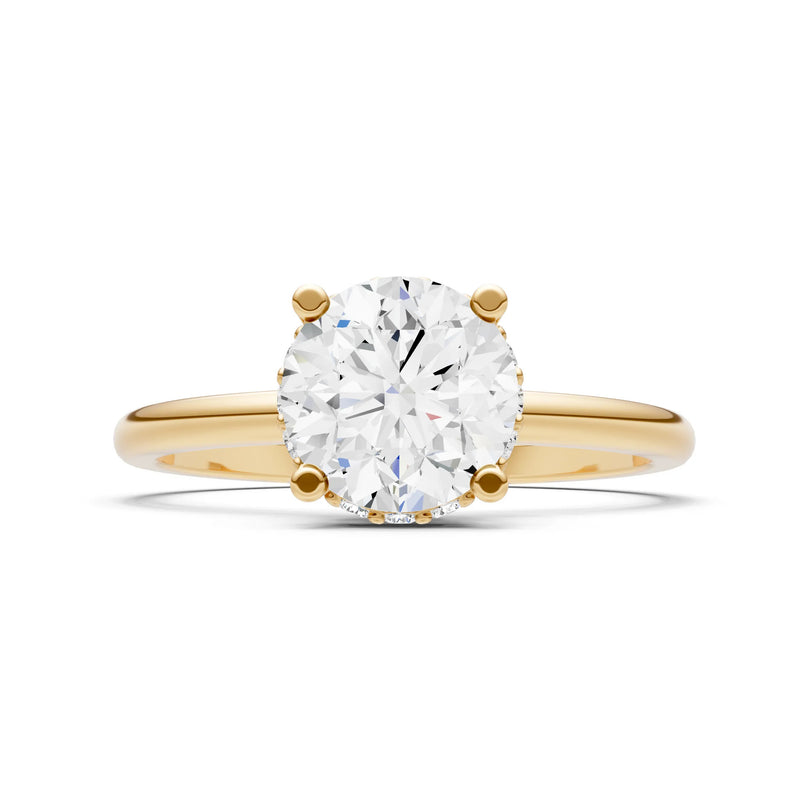 Round Cut Double Hidden Halo Engagement Lab Grown Gemstone and Diamond Ring