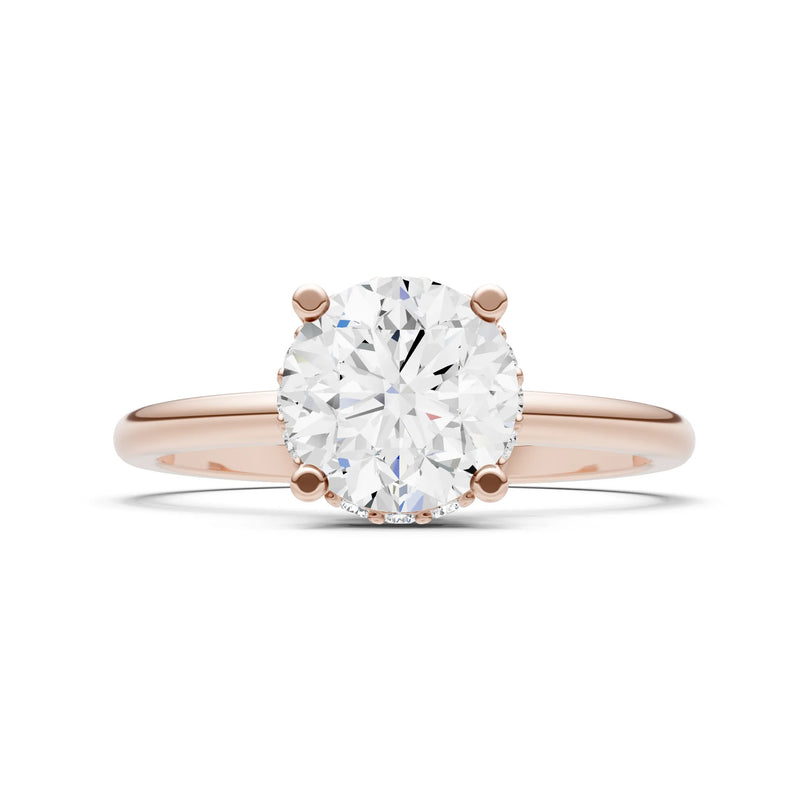 Round Cut Double Hidden Halo Engagement Lab Grown Gemstone and Diamond Ring