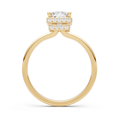 Diamond Princess Cut Hidden Double Halo Engagement Ring