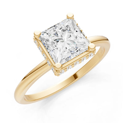 Diamond Princess Cut Hidden Double Halo Engagement Ring