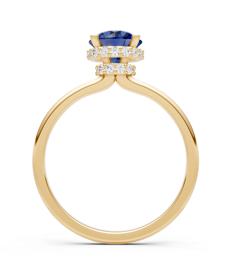 Round Cut Double Hidden Halo Engagement Lab Grown Gemstone and Diamond Ring