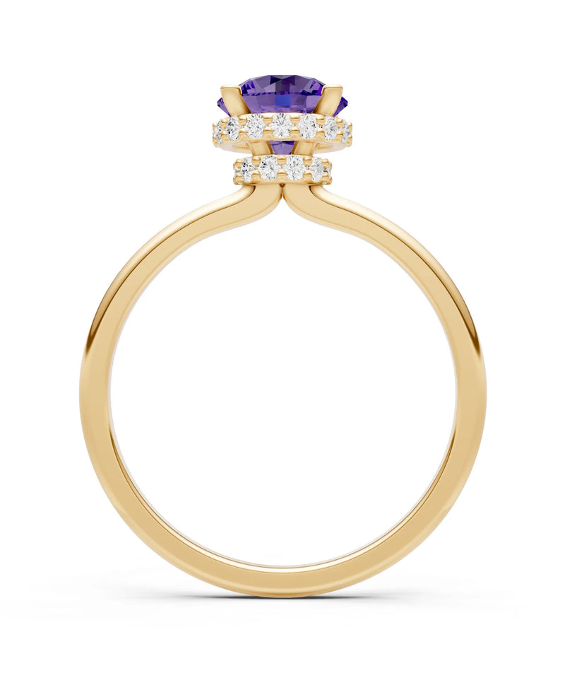 Round Cut Double Hidden Halo Engagement Lab Grown Gemstone and Diamond Ring