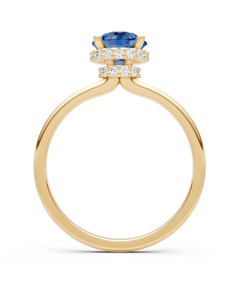 Round Cut Double Hidden Halo Engagement Lab Grown Gemstone and Diamond Ring
