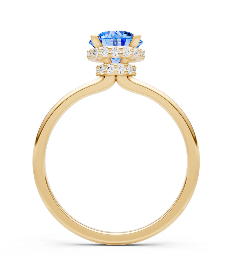 Round Cut Double Hidden Halo Engagement Lab Grown Gemstone and Diamond Ring