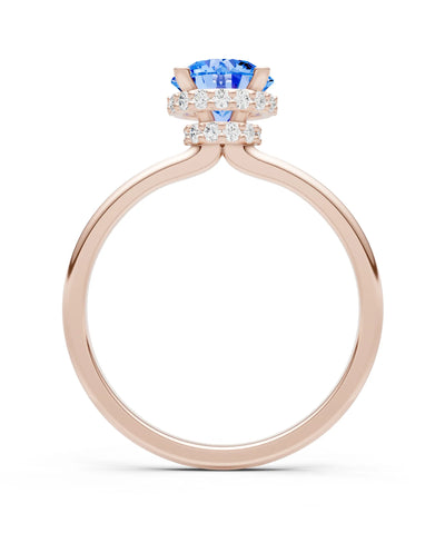 Round Cut Double Hidden Halo Engagement Lab Grown Gemstone and Diamond Ring