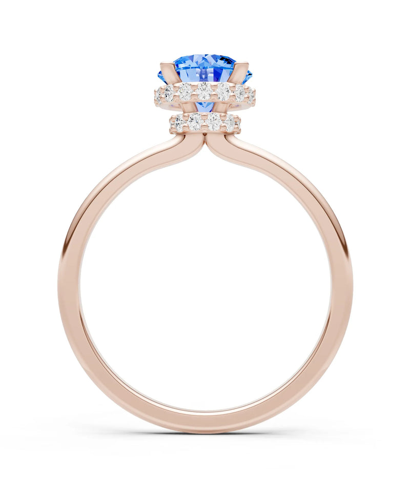 Round Cut Double Hidden Halo Engagement Lab Grown Gemstone and Diamond Ring