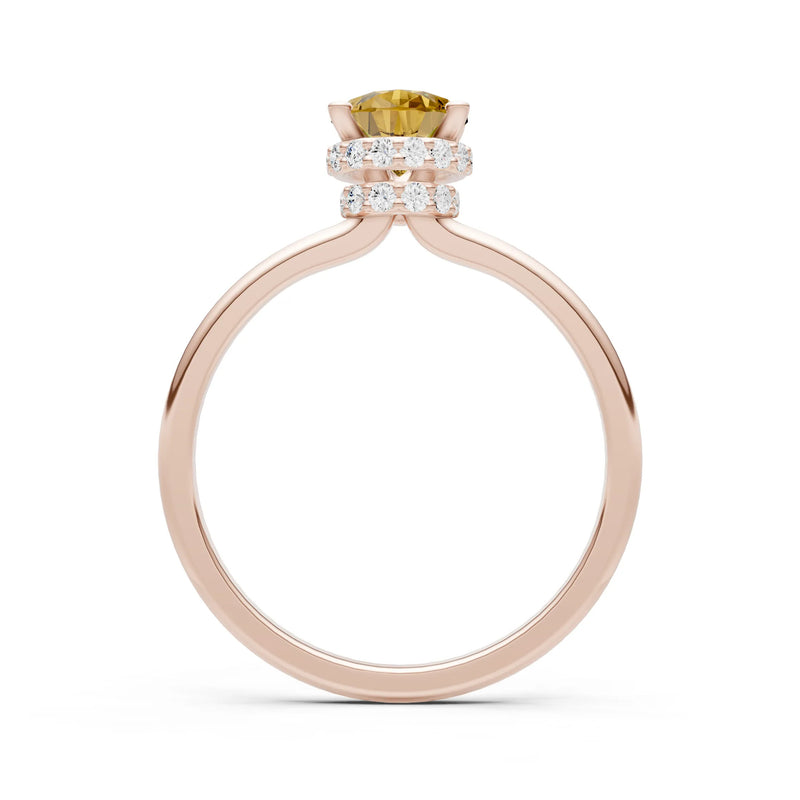 Pear Hidden Double Halo Engagement Ring