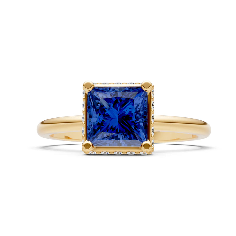 Blue Sapphire Princess Cut Hidden Double Halo Engagement Ring
