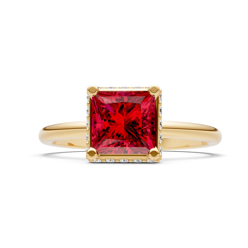 Ruby Princess Cut Hidden Double Halo Engagement Ring