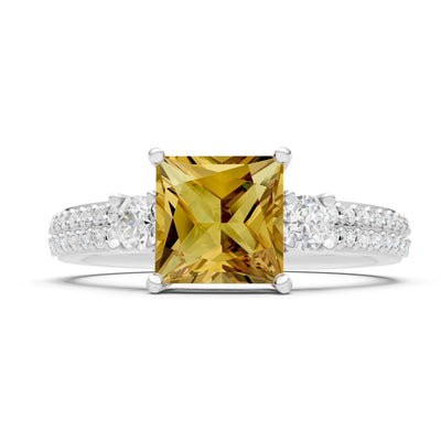 3 Stone Princess Cut Double Pave Band