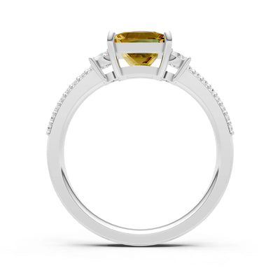 3 Stone Princess Cut Double Pave Band