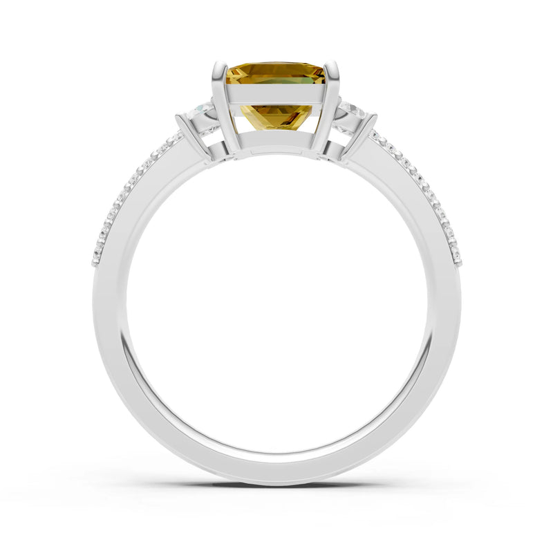 3 Stone Princess Cut Double Pave Band