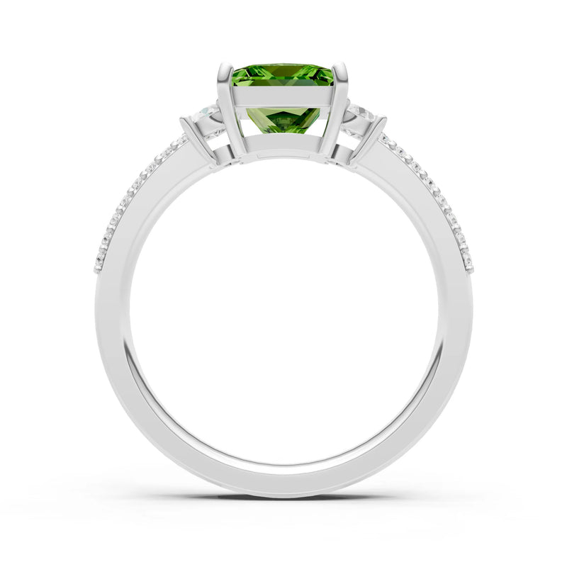 3 Stone Princess Cut Double Pave Band