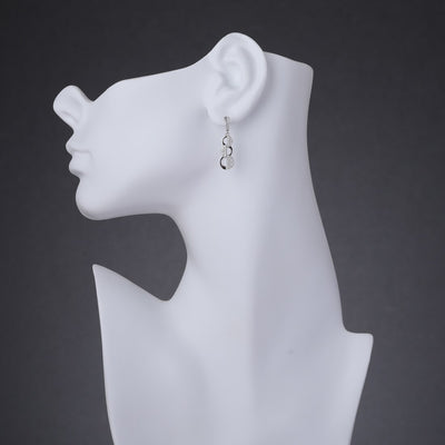Sterling Silver Simulated Diamonds Cascade Dangle Drop Earrings Se9046 on a model